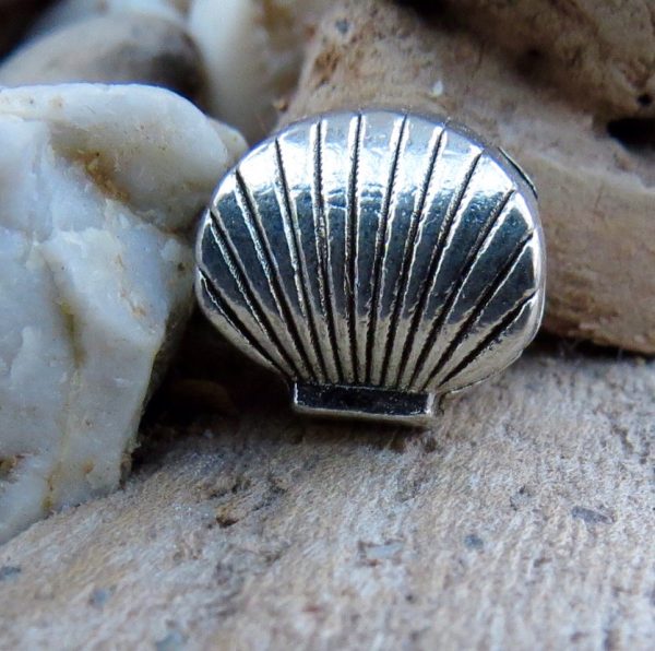 Seashell Charm