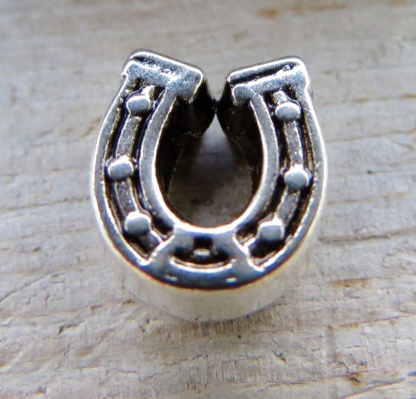 Horseshoe Charm