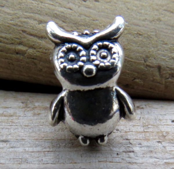 Wise Owl Charm